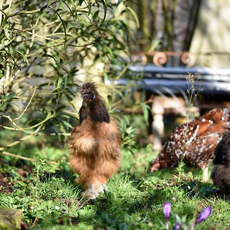 Frühstückspension D'hotes Le Clos De Beauregard *